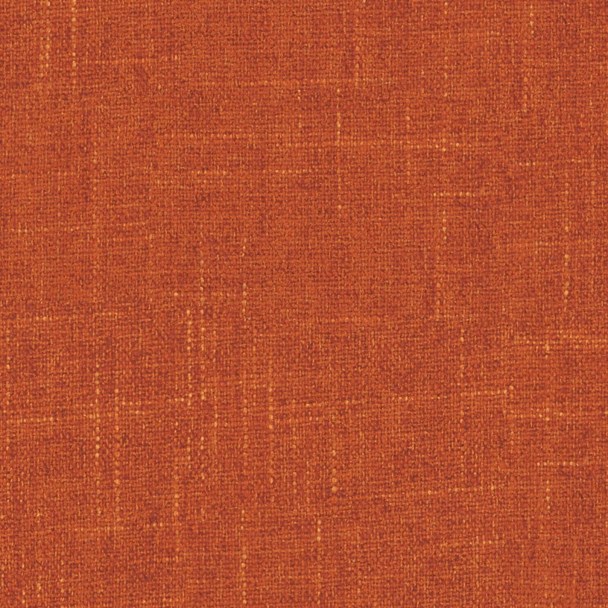 Sula Amber-main