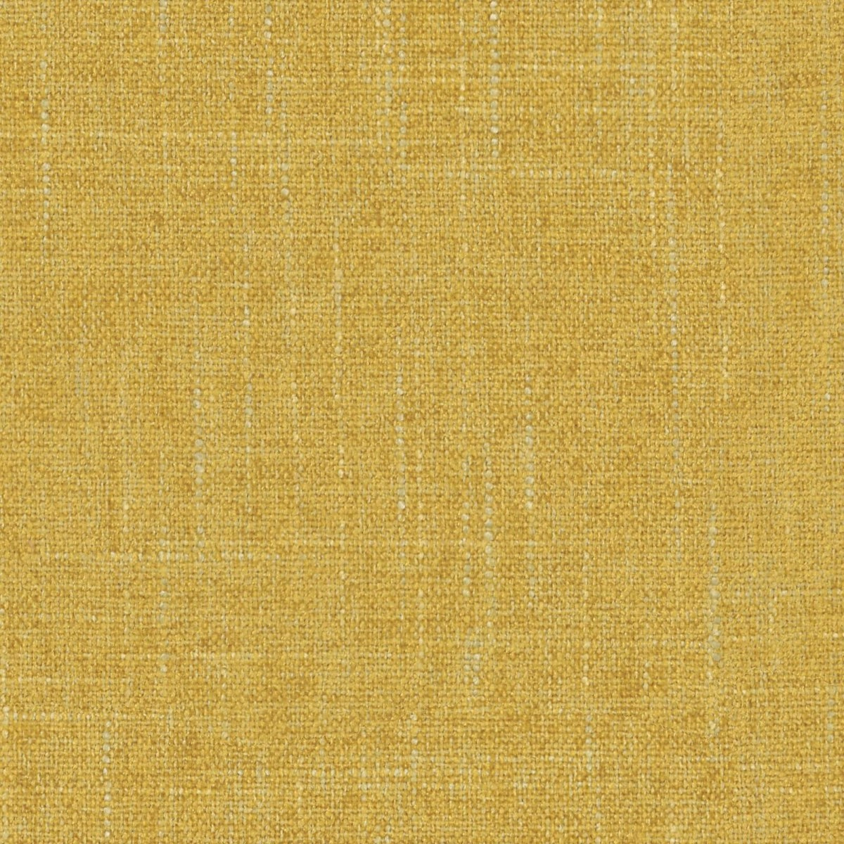 Sula Gold-main