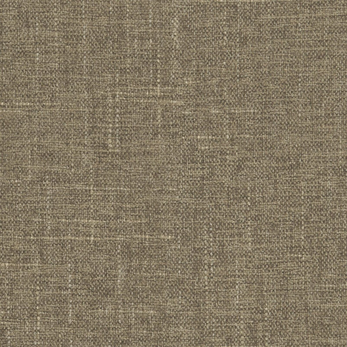 Sula Mushroom-main