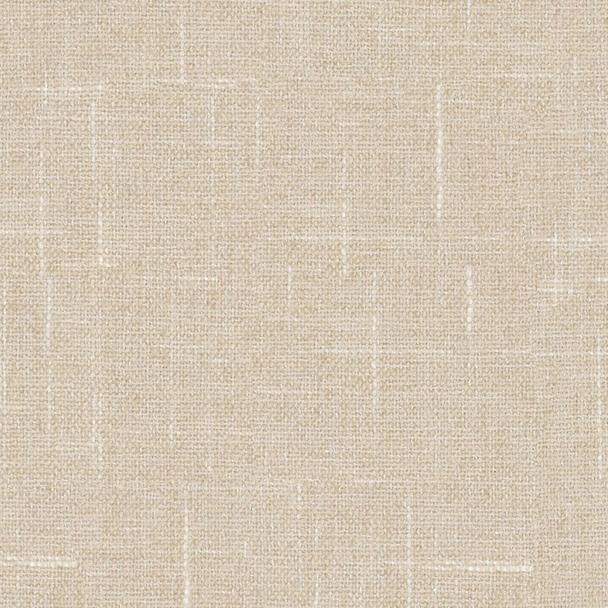 Sula Papyrus-main