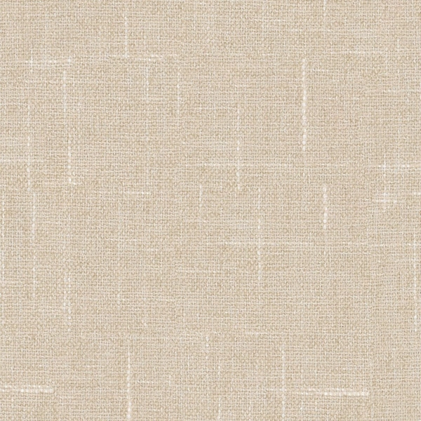 Sula Papyrus-main