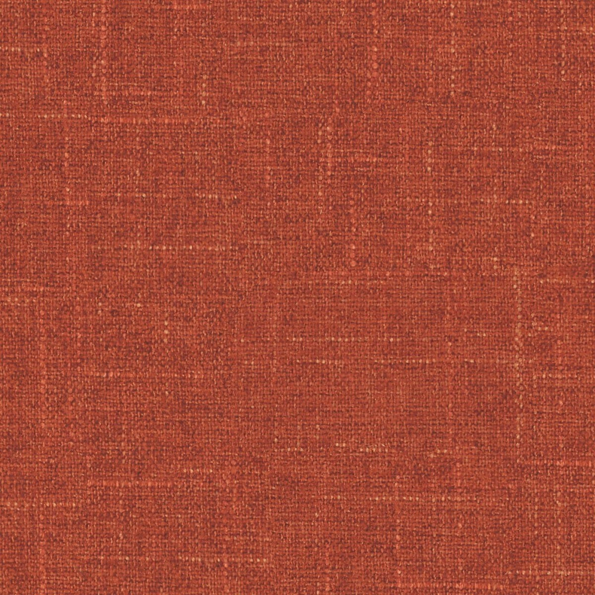 Sula Pumpkin-main