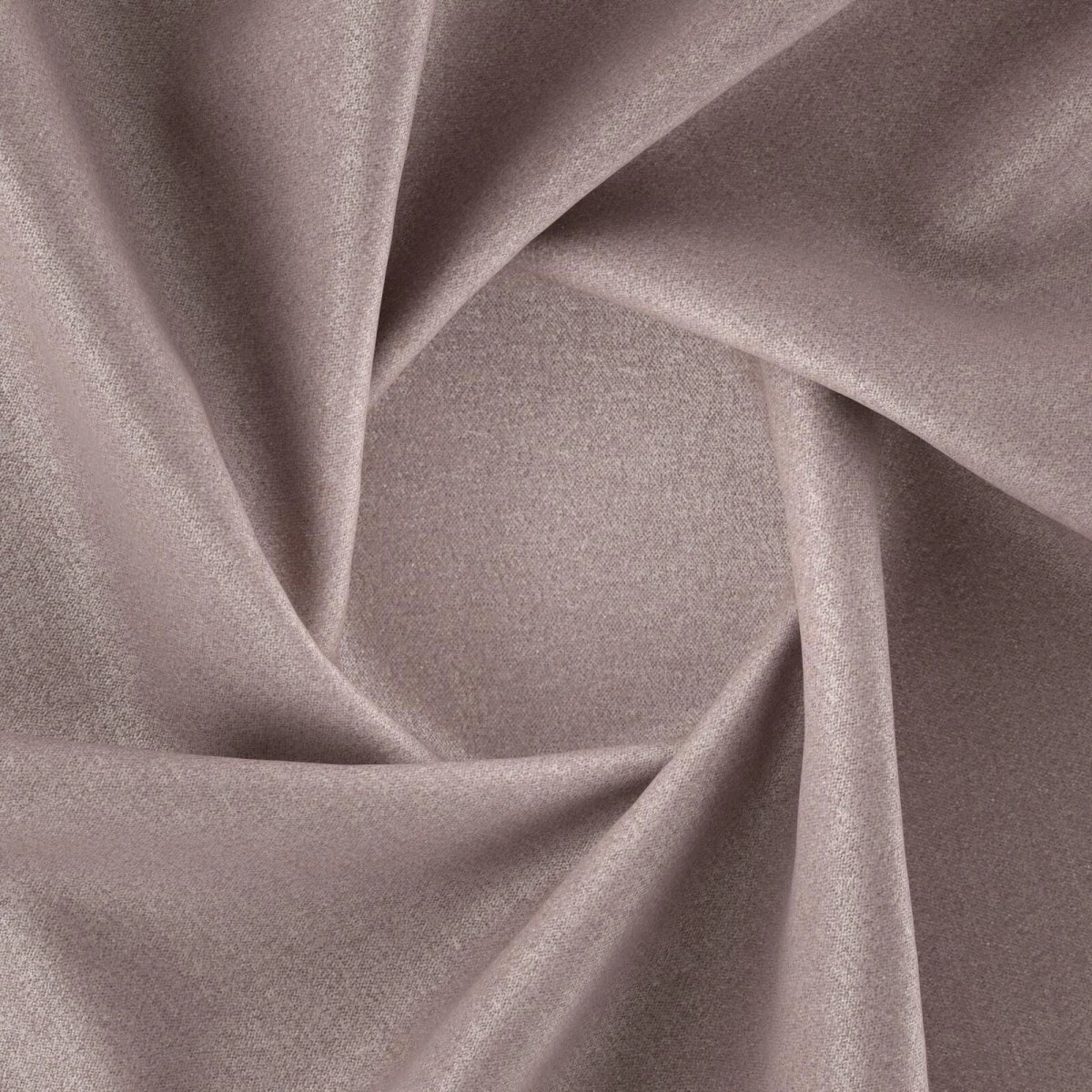 Sumatra Plum-main