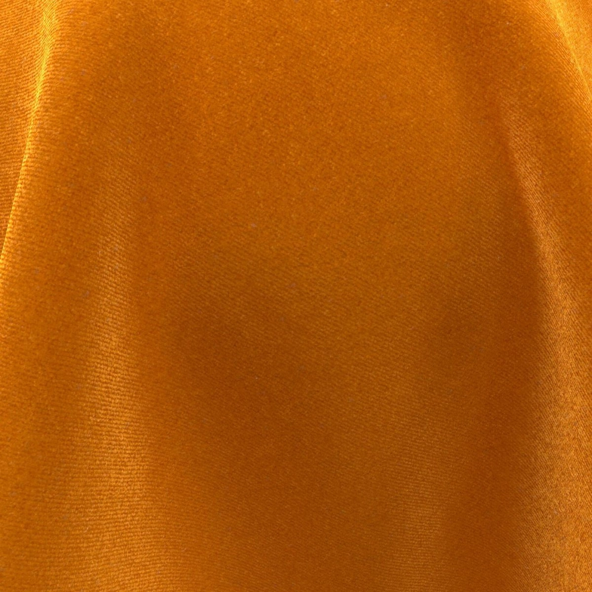 Timor Mandarine-main