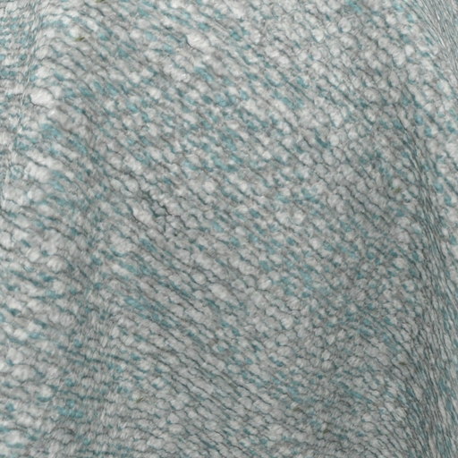 68d091210845b548366bee3e.jpg