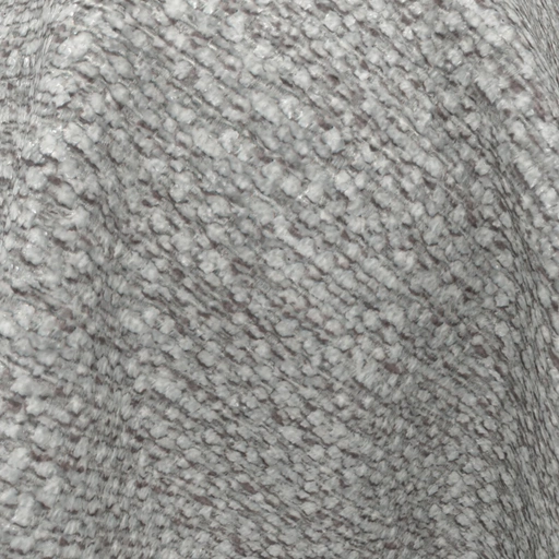 68d092760845b548366c0690.jpg