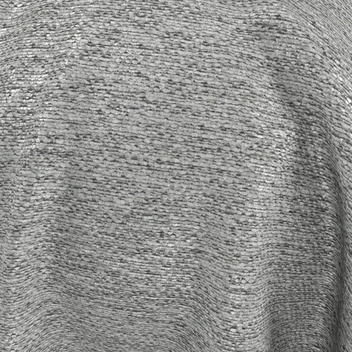 68d093d40845b548366c20a7.jpg