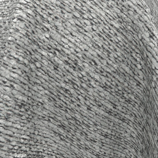 68d093e80845b548366c21f0.jpg