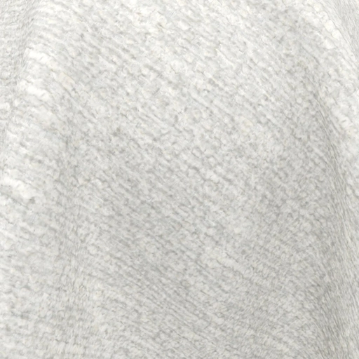 68d095990845b548366c415e.jpg