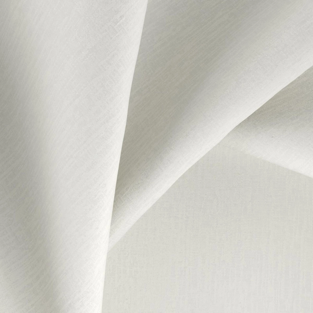Wetar Wool-main