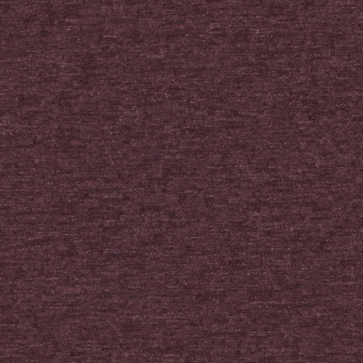 Widi Aubergine-main
