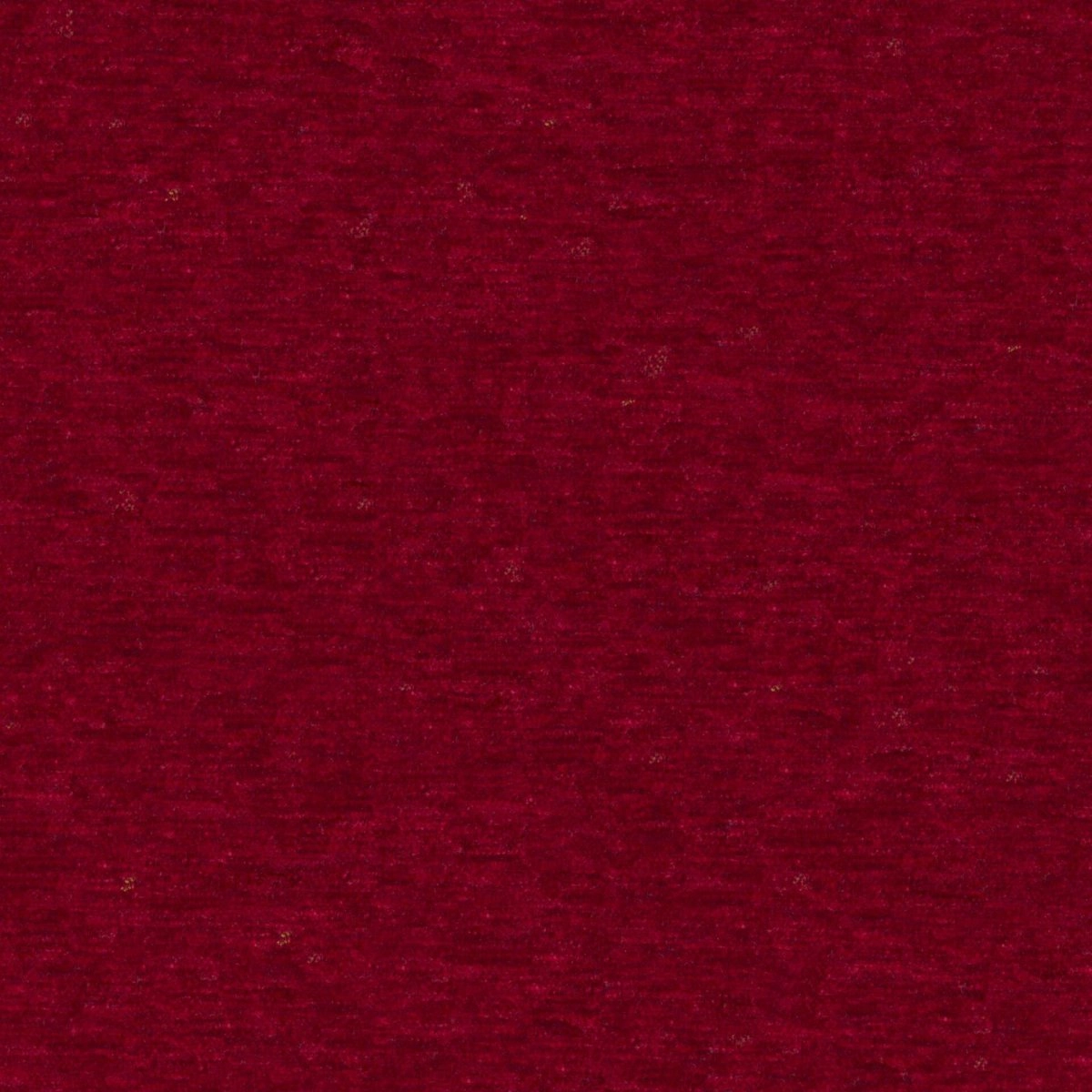 Widi Cabernet-main
