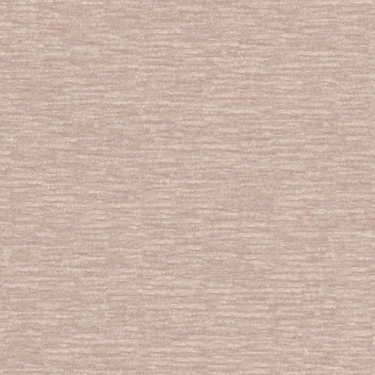 Widi Orchid-main