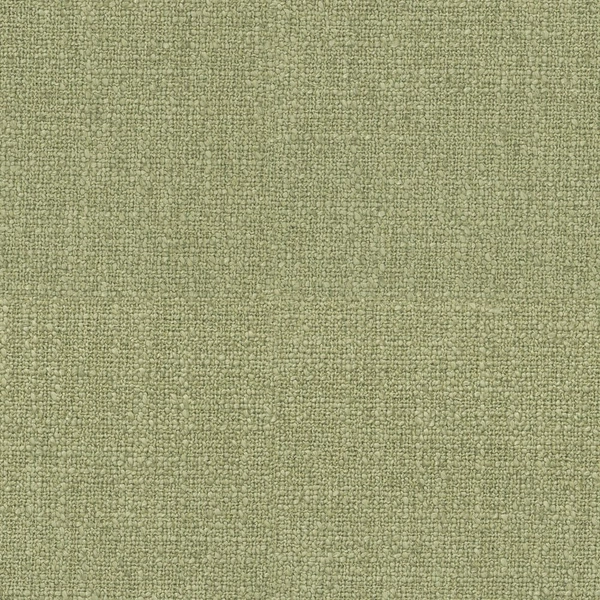 Lotrek Moss-main