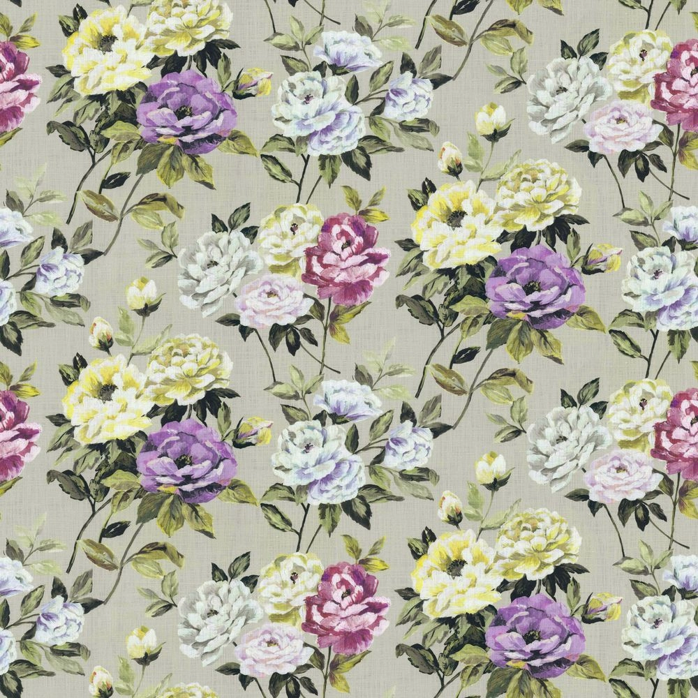 Monforte Orchid-main