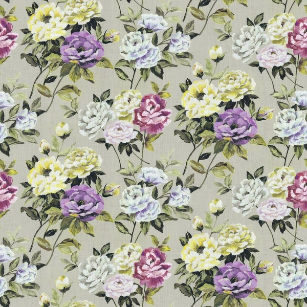 Monforte Orchid-main