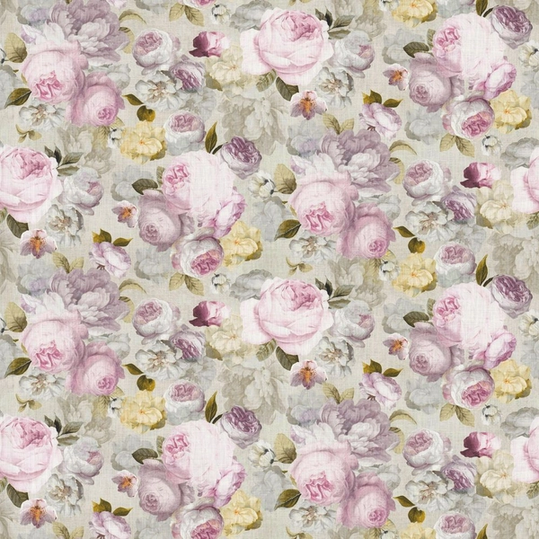 Rose Petunia-main