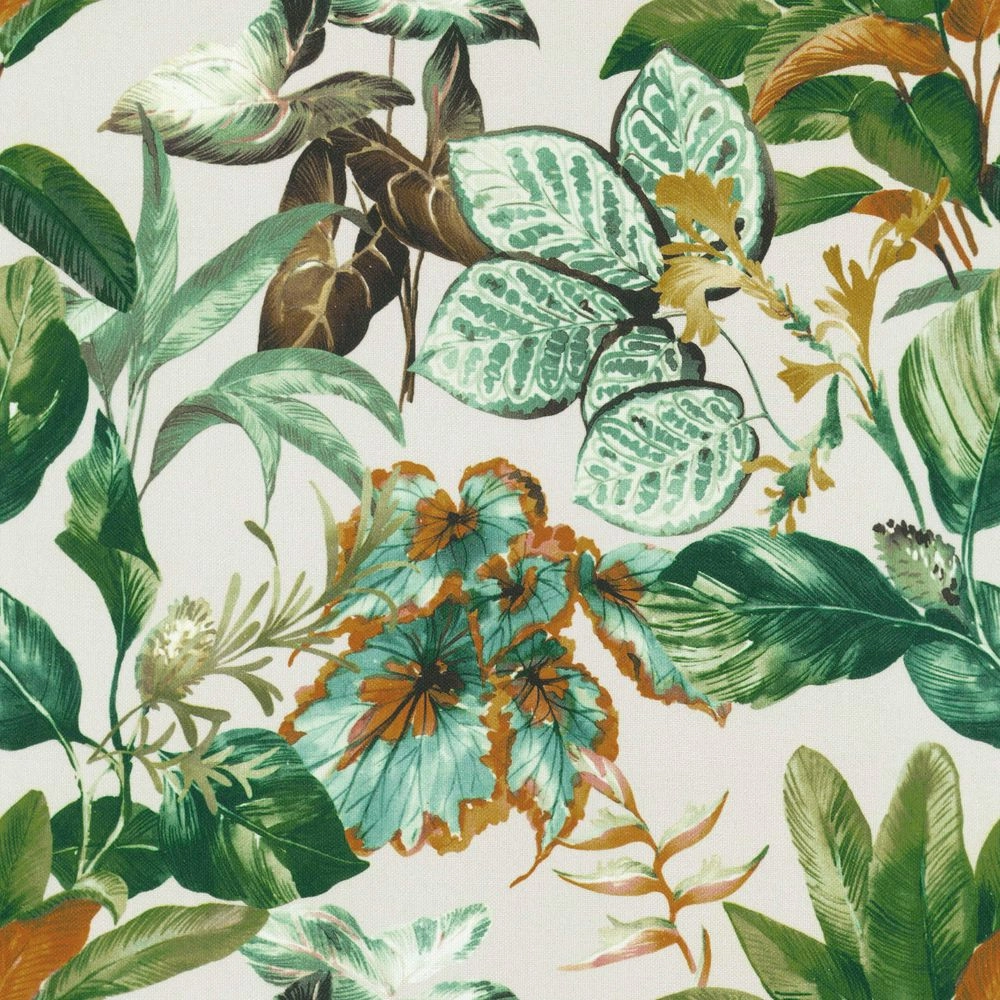 Monteverde Evergreen-main