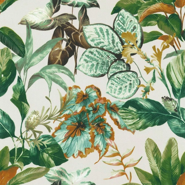 Monteverde Evergreen-main