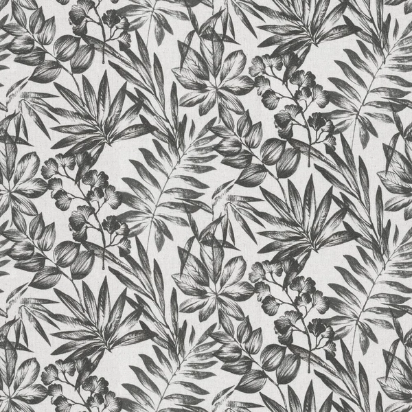 Sapo Charcoal-main