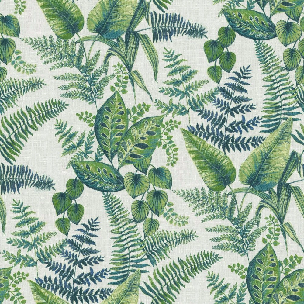 Tenorio Rainforest-main