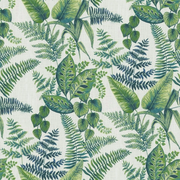 Tenorio Rainforest-main
