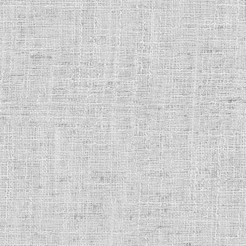Tongass Birch-main