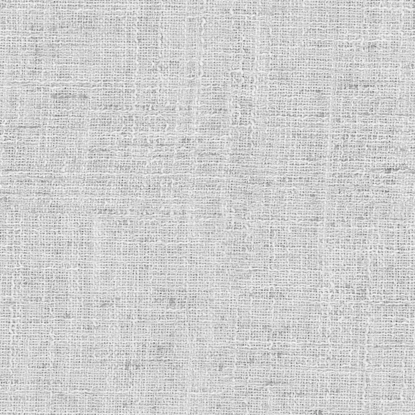 Tongass Birch-main