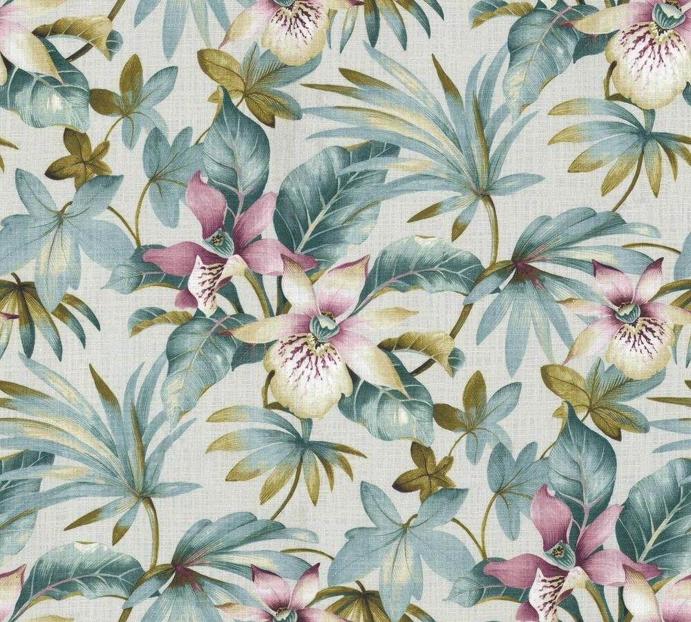 Tortuga Geranium-main