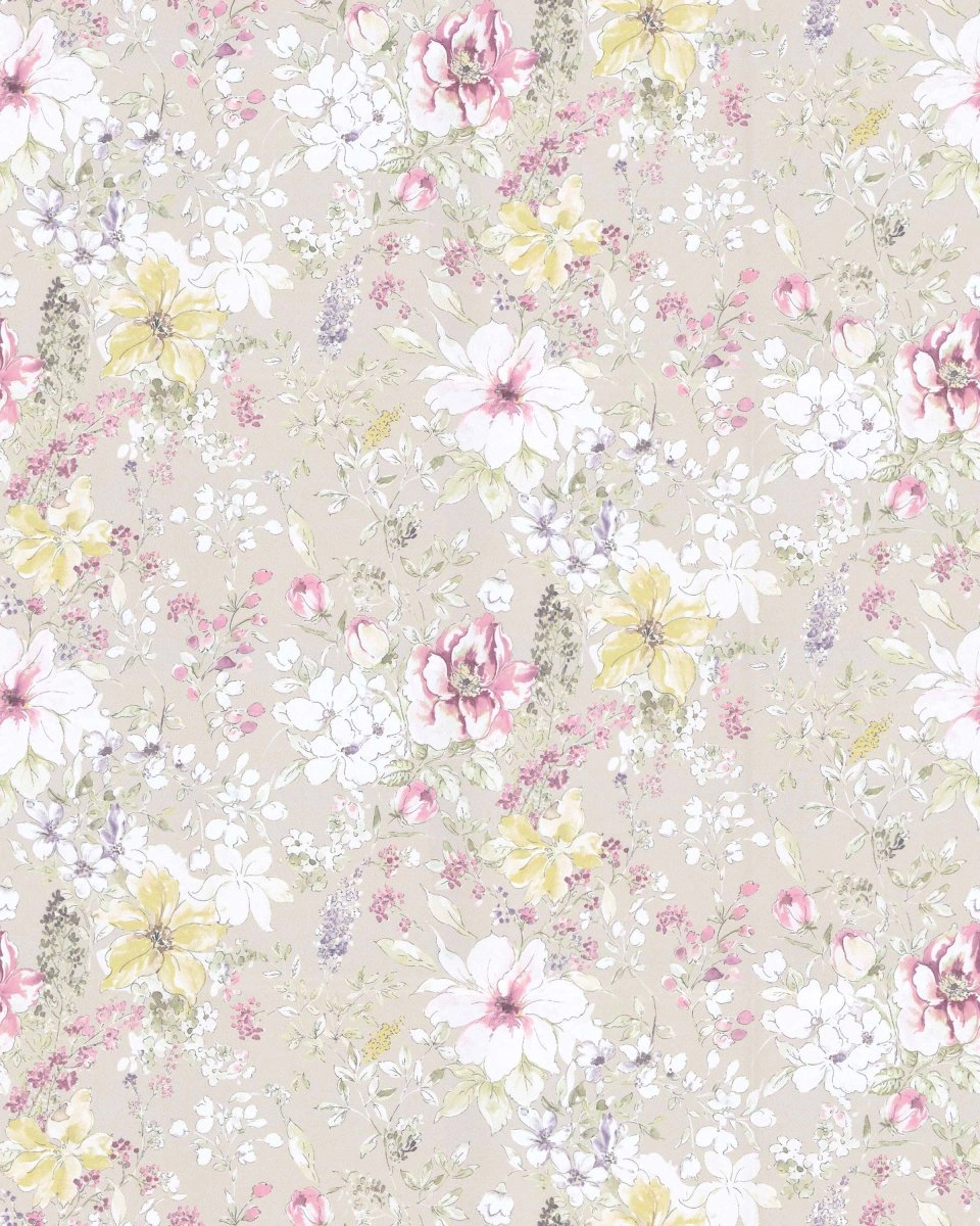 Ipomea Petunia-main