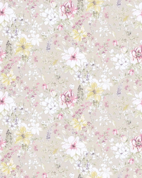 Ipomea Petunia-main