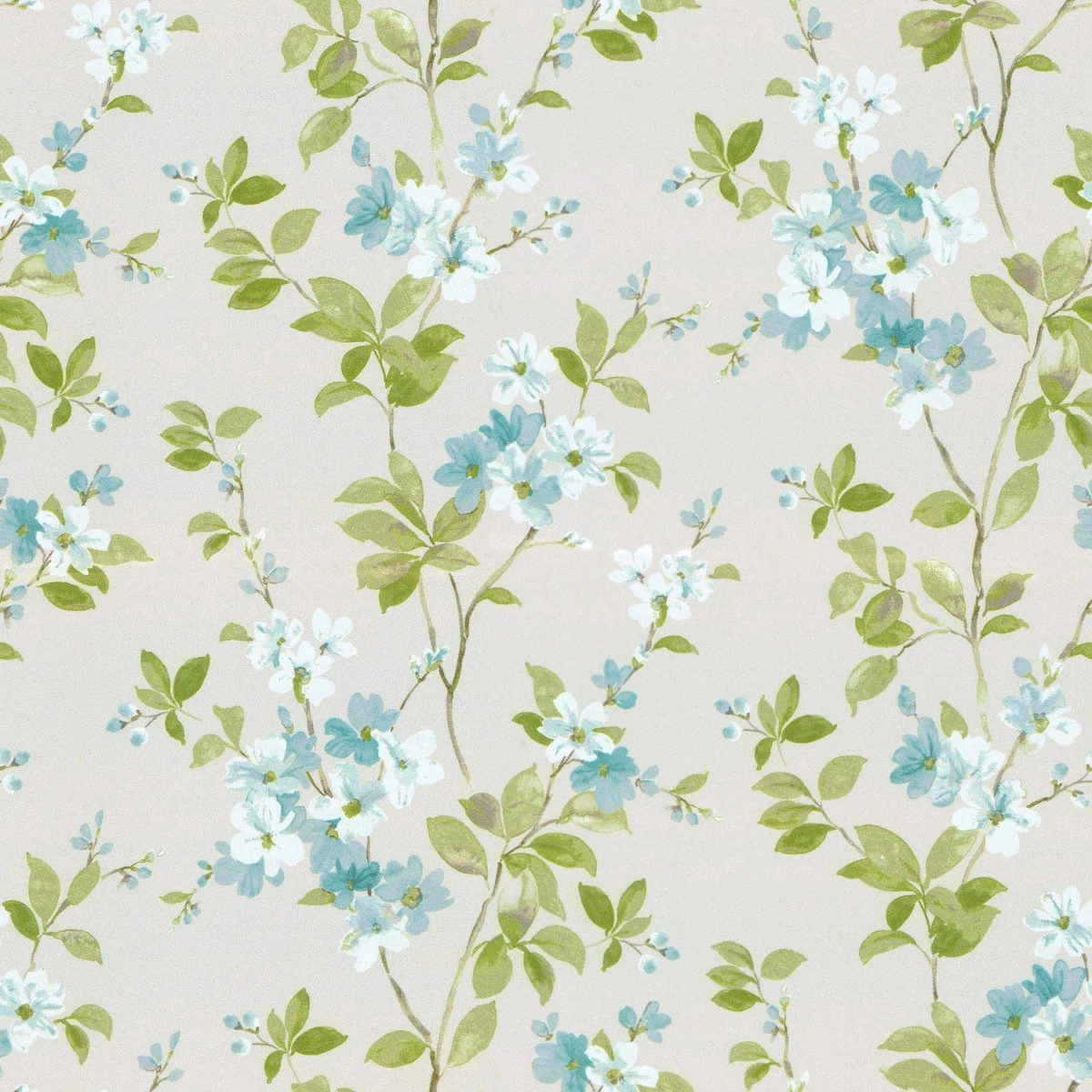 Syringa Aqua-main