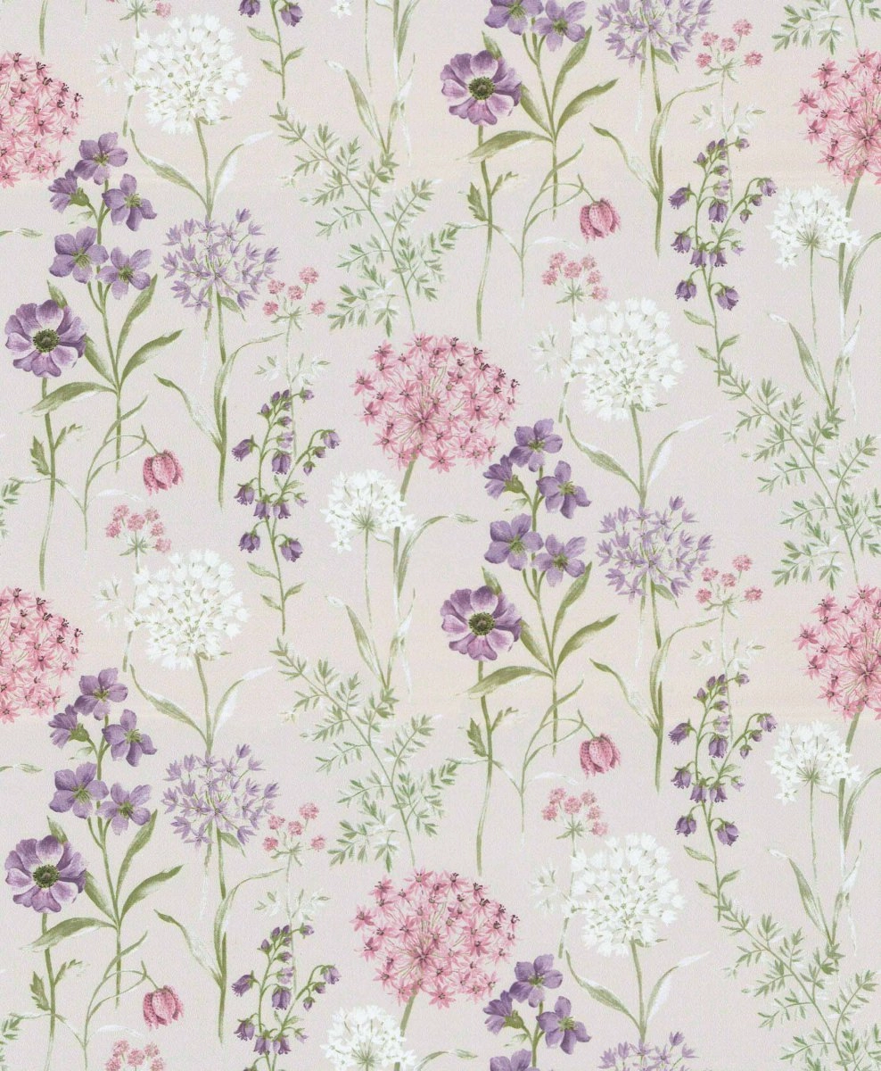 Wildflower Orchid-main