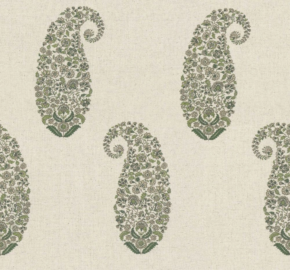 Surat Olive-main