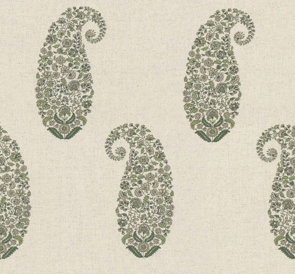 Surat Olive-main