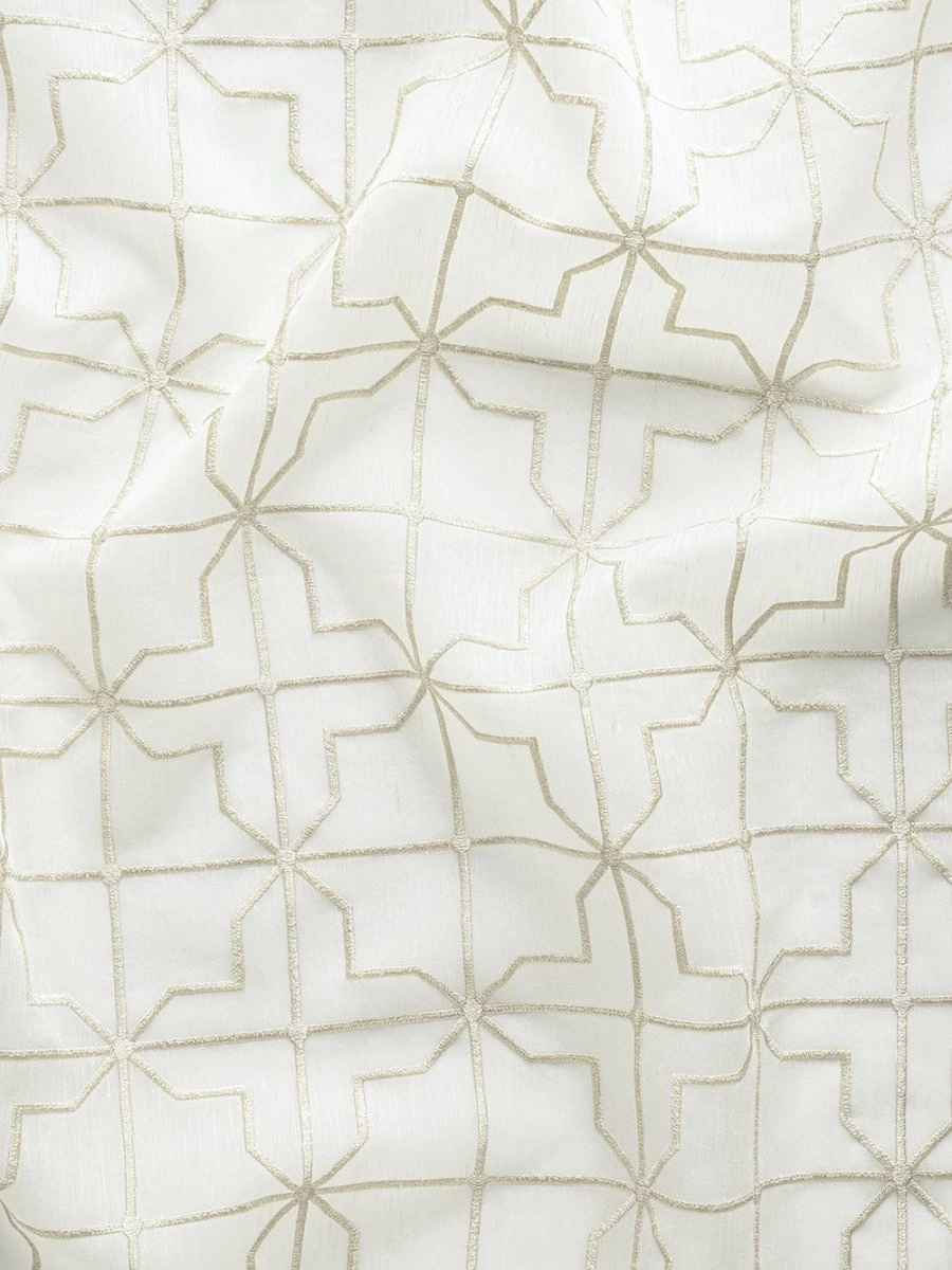 Lakeba Sandshell-main