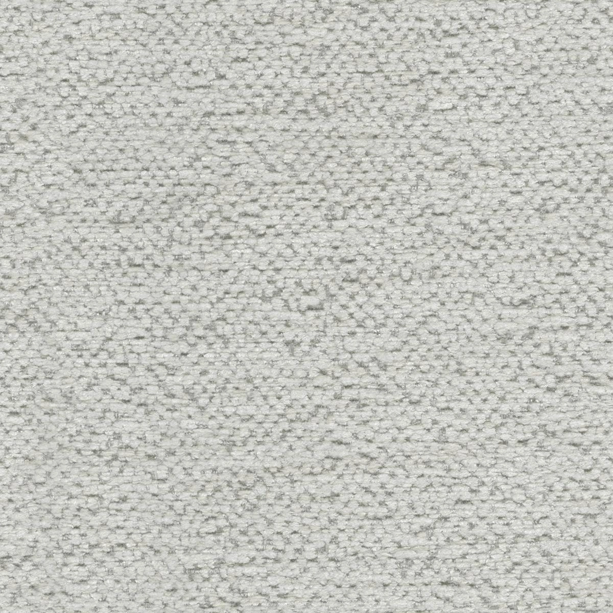 Hobby Shell-main