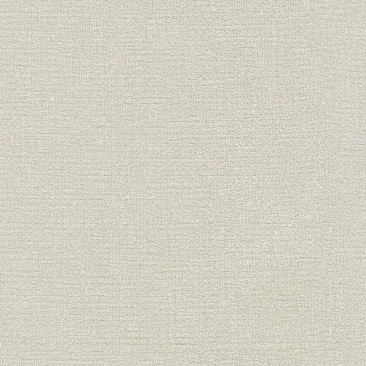 Kauri Wool-main
