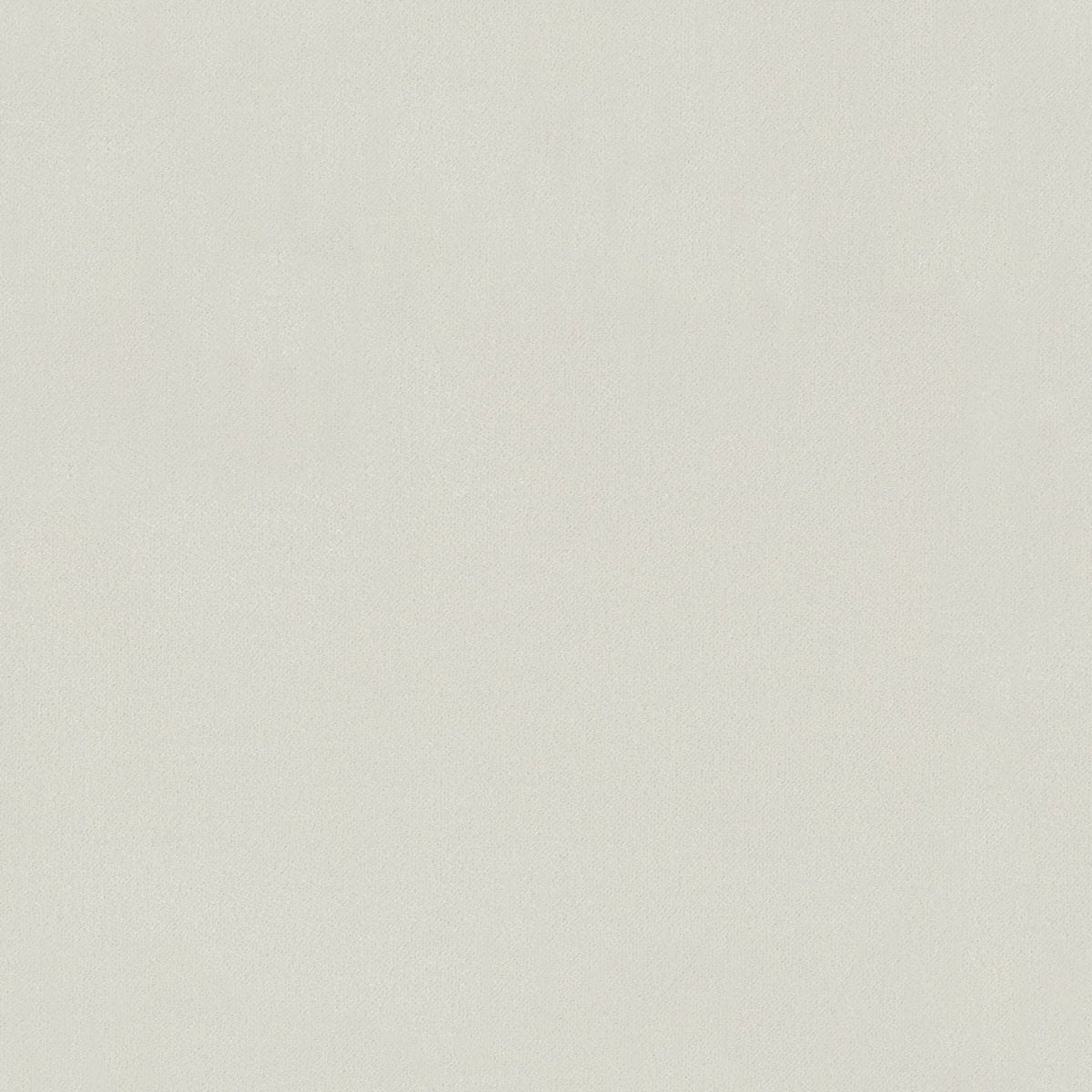Korat Eggwhite-main