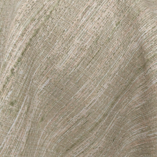 697379df702f72fd9ca65065.jpg