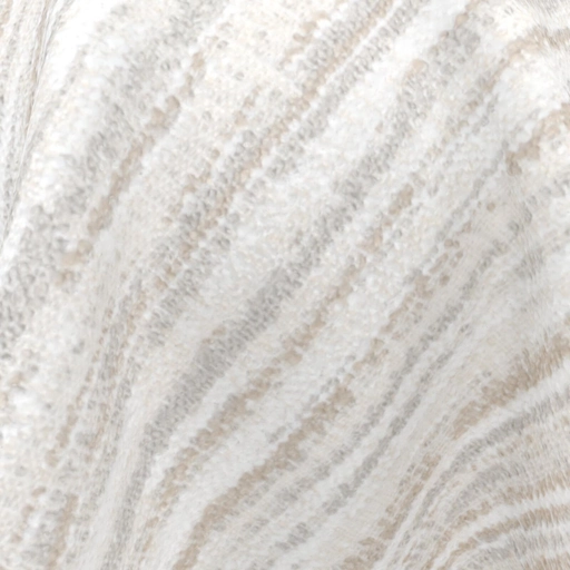 68cd820e0845b54836516bc0.jpg