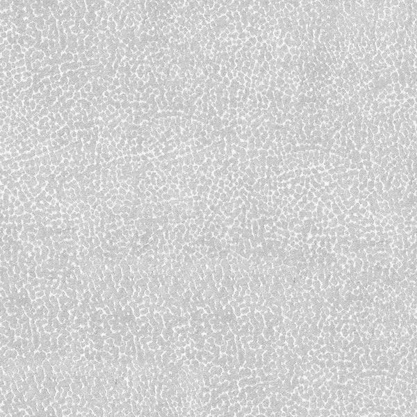 Kitagawa Pure-main
