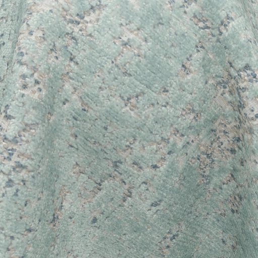 68ceae8c0845b548365871bb.jpg
