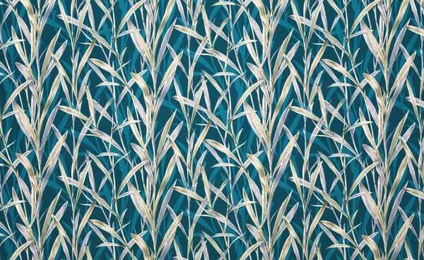 Setubal Peacock-main