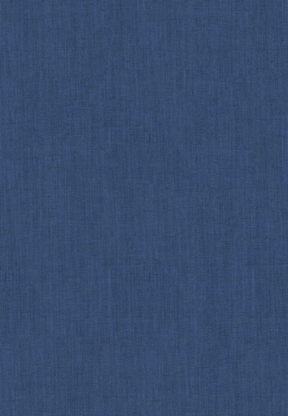 Neddy Denim-main