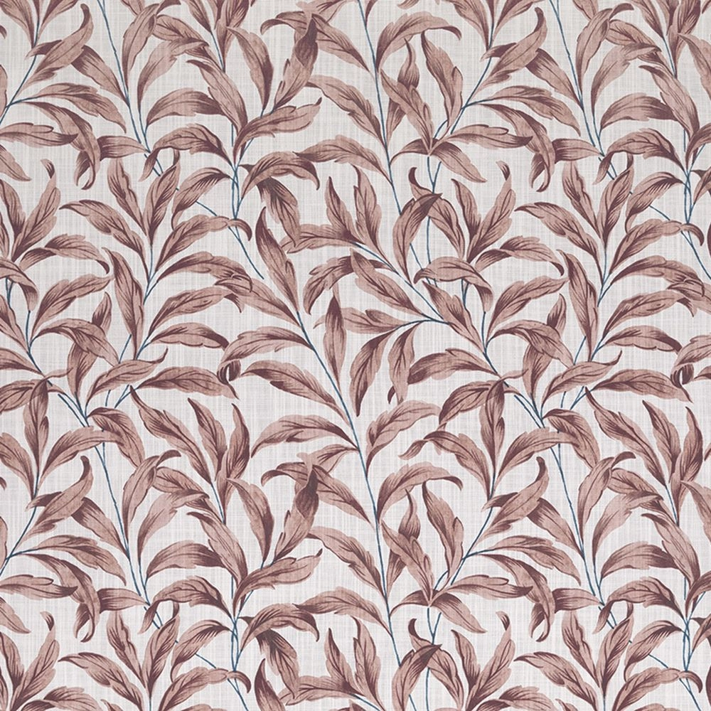 Falezia Blush-main