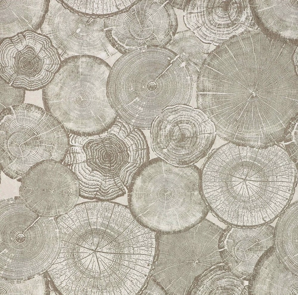 Roslagen Fossil-main