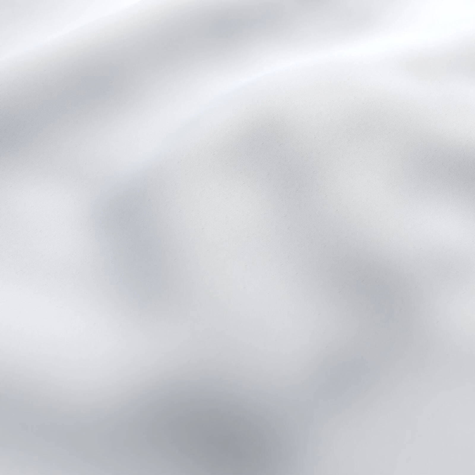 Bogota_Swan_front.jpg