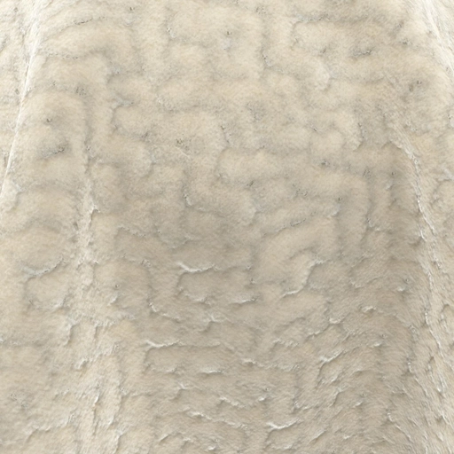 68e11e9b12af951763cc5b74.jpg