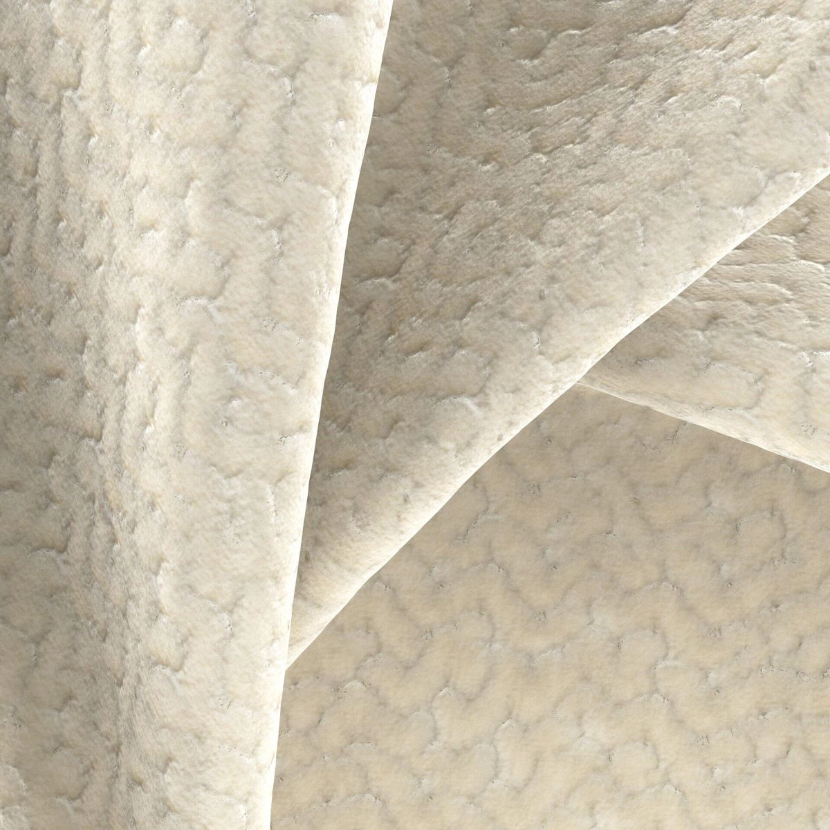 Renata Champagne-main